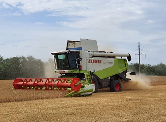 ������ ������ ������