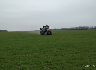 ������ ��������� ������