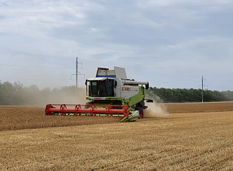 ������ ������ ������