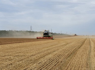 ������ ������ ������