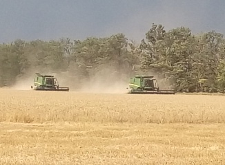 ����� �� ������