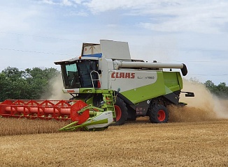 ������ ������ ������