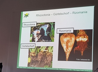 ������� ������� � ��������