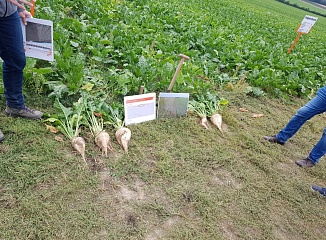 ������� ������� � ��������