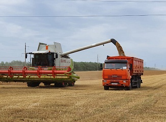 ������ ������ ������