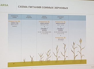 ������� ������� � ������