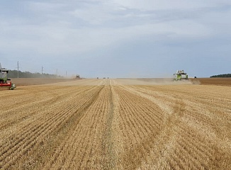 ������ ������ ������