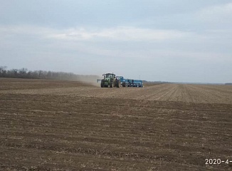 ��� ��������-����������� �������