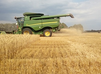 ����� �� ������